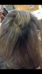 -MG Style Salon