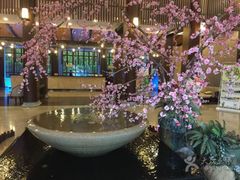 -航空小镇温泉