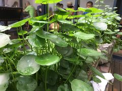 -外婆船宴餐厅·外婆喊你回家吃饭