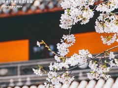 -龙华寺