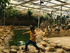 -上海都市菜园