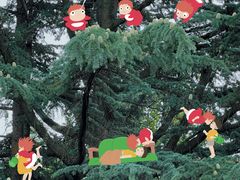 -国家植物园南园