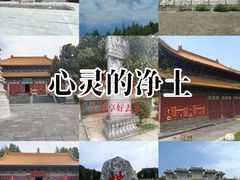 -中原大佛景区