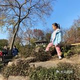 总结小记一场说走就走的闲逛