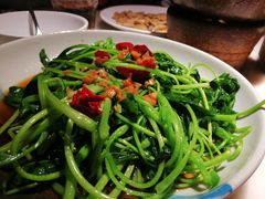 芥兰苗-佬肥猫(国华广场店)