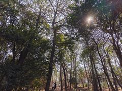 -虞山风景区