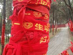 -南阳卧龙岗武侯祠