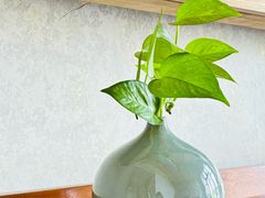 -云水涧亲子度假酒店