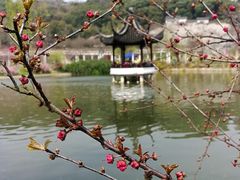 -苏州上方山国家森林公园