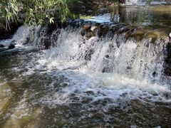 -长白岛森林公园