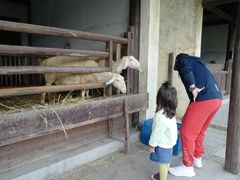 -乌村