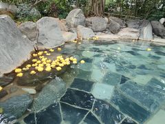 -湖泉半山温泉