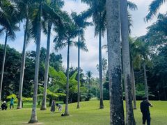 -中国科学院西双版纳热带植物园
