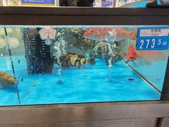 -麦德龙(郑东店)