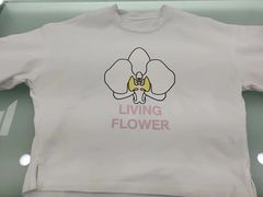 -福奈特洗衣洗鞋(温榆广场店)