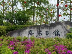 -恩阳古镇