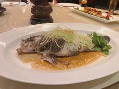 东星斑清蒸-8餐厅(新葡京酒店)