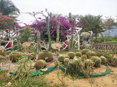 -亚龙湾国际玫瑰谷