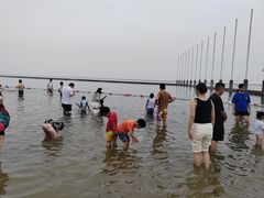 -碧海金沙