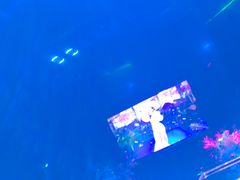 -黑桃K生日订制KTV