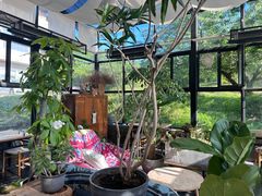 -北马山庄植趣咖啡