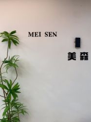 -美森形象
