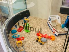 -Lilliput·粒粒堡亲子餐厅(嘉定宝龙店)