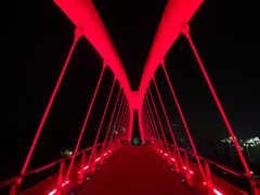 -金鸡山公园