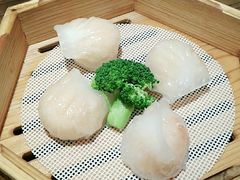-避风塘(江桥万达店)