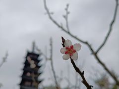 -上海方塔园