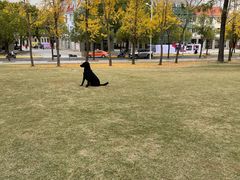 -美兰湖景区