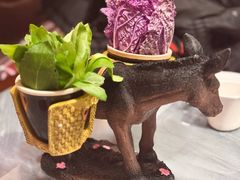 -慢丽江·云南野生菌土鸡锅(付家庄店)