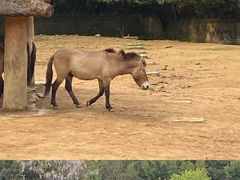 -杭州野生动物世界