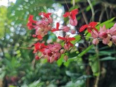 -曼听御花园
