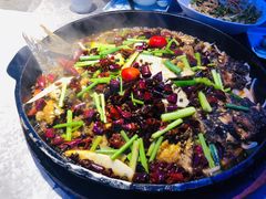 -老板恋上鱼(恒隆广场店)