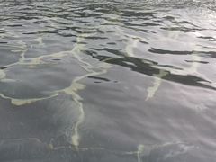 -御泉湾养生汤泉
