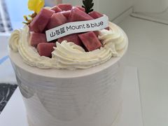 -山与蓝·轻糖鲜果蛋糕(勒泰店)