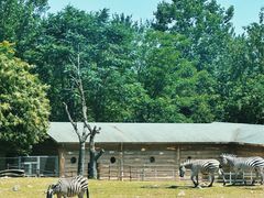 -西安秦岭野生动物园