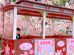 -温州乐园