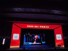 -刘老根大舞台-长春旗舰店