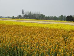 -中国天府农业博览园