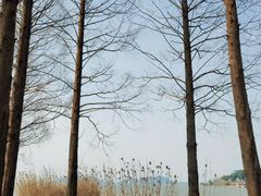 -东钱湖旅游度假区