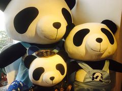 -熊猫屋(宽窄巷子景区店)