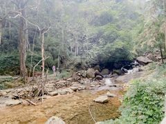 -姑婆山旅游区