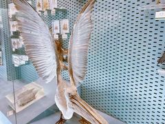 -浙江自然博物院(杭州馆)