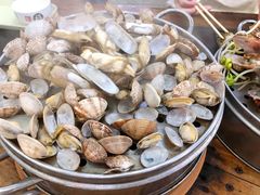 清蒸蛤蜊-九层海鲜塔(市南店)