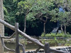 -梧桐山风景名胜区