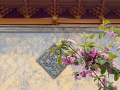 -西宁市东关清真大寺