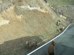 -新疆那拉提国家旅游度假区