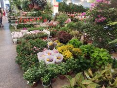 -双季花艺园艺市场(浦东店)